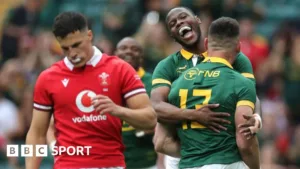 South Africa Dominates Wales in Twickenham Showdown